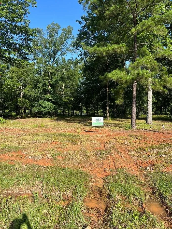Expert landscaping services near you in Heflin, LA by Louisiana Landscape Services