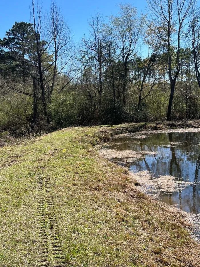 Reliable landscape design for residential properties across Heflin, LA - Louisiana Landscape Services