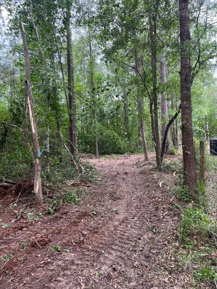 Professional residential landscaping for residential properties across Heflin, LA - Louisiana Landscape Services