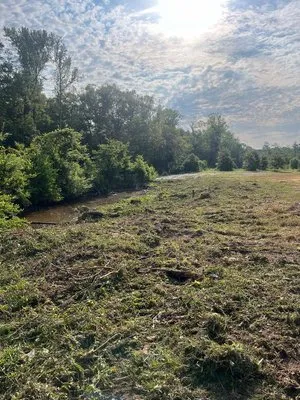 Louisiana Landscape Services