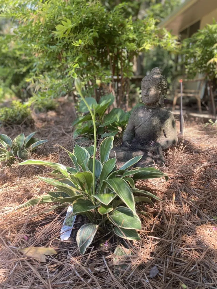 Expert yard cleanup service for homes across Forest Hill, LA - Louisiana Roots Landscape