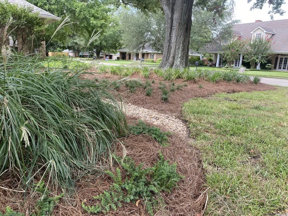 Top-rated yard maintenance for outdoor upgrades in Forest Hill, LA by Louisiana Roots Landscape