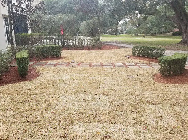 Reliable lawn mowing service for outdoor upgrades across New Orleans, LA - Louisianas Own Landscaping Company