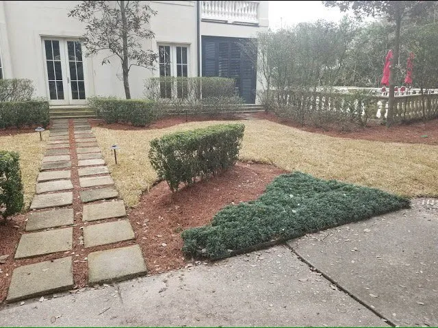 Top-rated lawn mowing service in New Orleans, LA by Louisianas Own Landscaping Company