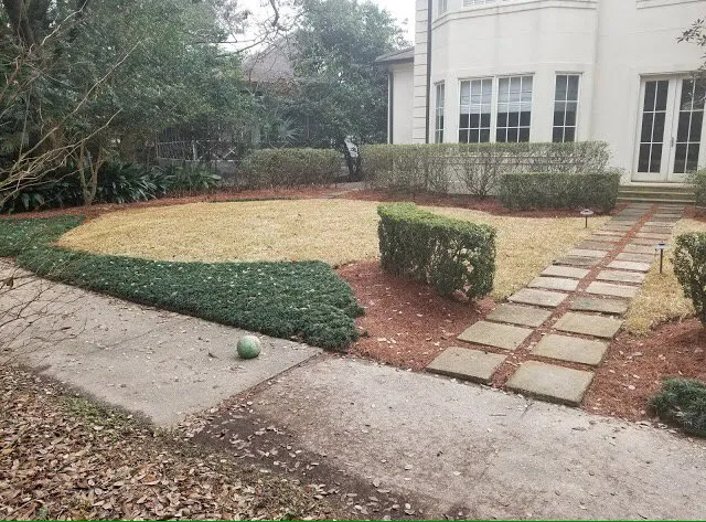 Local yard maintenance experts serving New Orleans, LA - Louisianas Own Landscaping Company