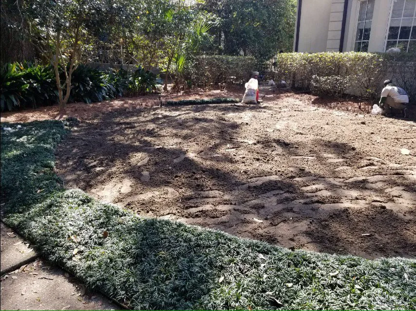 Top-rated landscape installation experts serving New Orleans, LA - Louisianas Own Landscaping Company