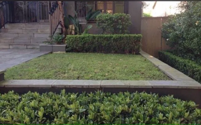 Affordable yard cleanup service in New Orleans, LA by Louisianas Own Landscaping Company