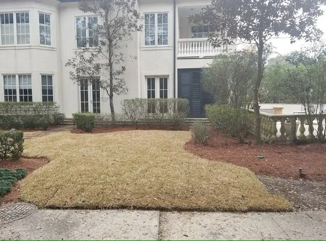 Local landscaping services in New Orleans, LA by Louisianas Own Landscaping Company