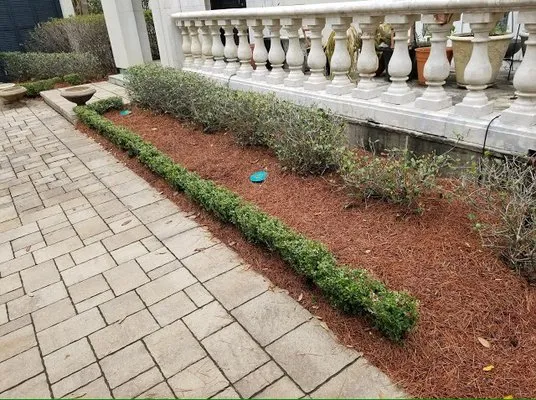 Louisianas Own Landscaping Company Logo