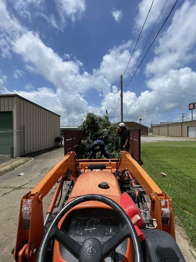 Trusted landscaping services experts serving Forest Hill, LA - Louiss Lawn & Landscape