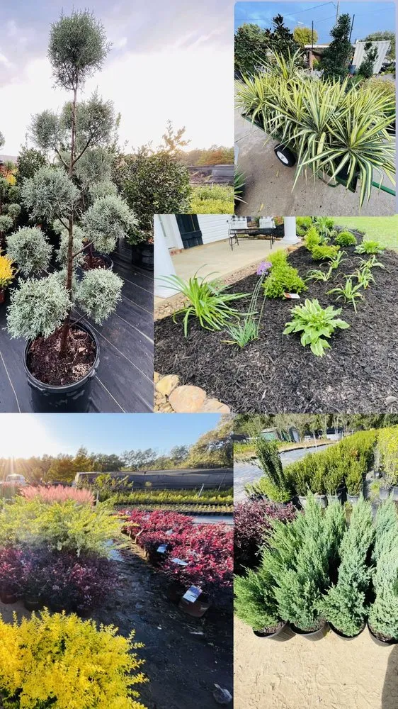 Expert residential landscaping in Forest Hill, LA by Louiss Lawn & Landscape