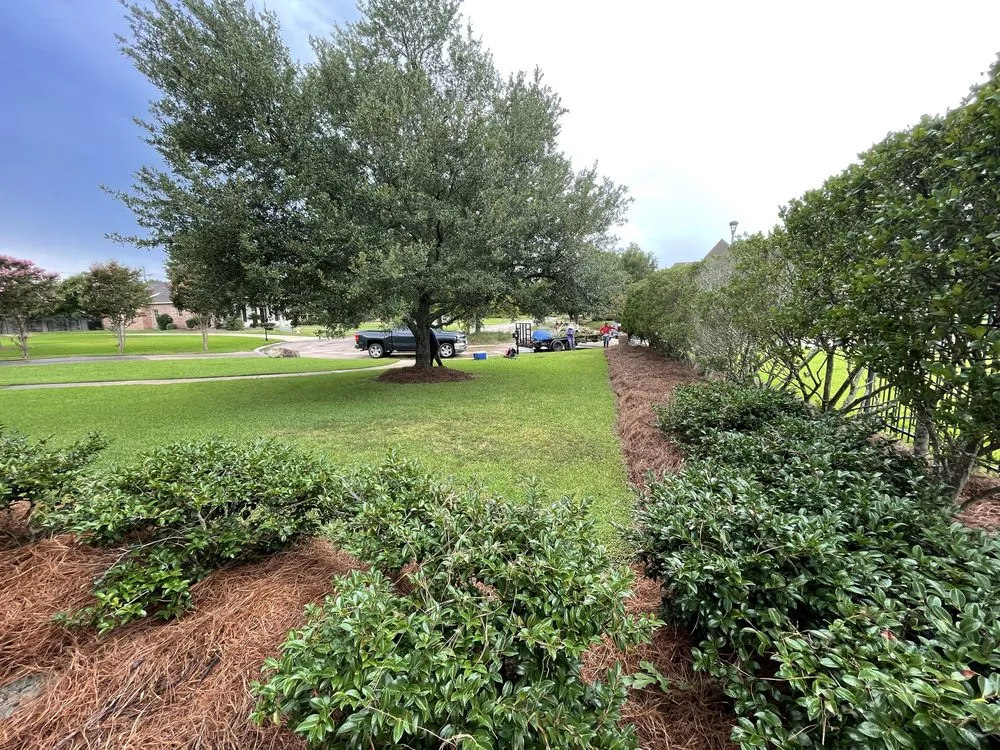 Trusted garden landscaping for outdoor upgrades across Forest Hill, LA - Louiss Lawn & Landscape