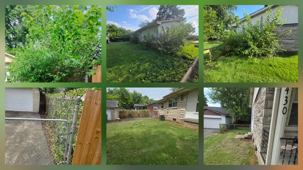 Local landscape installation for residential properties across Louisville, KY - Louisville Lawn Professionals