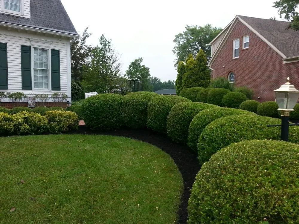 Reliable landscape design in Crestwood, KY - Louisville Lawn Solutions