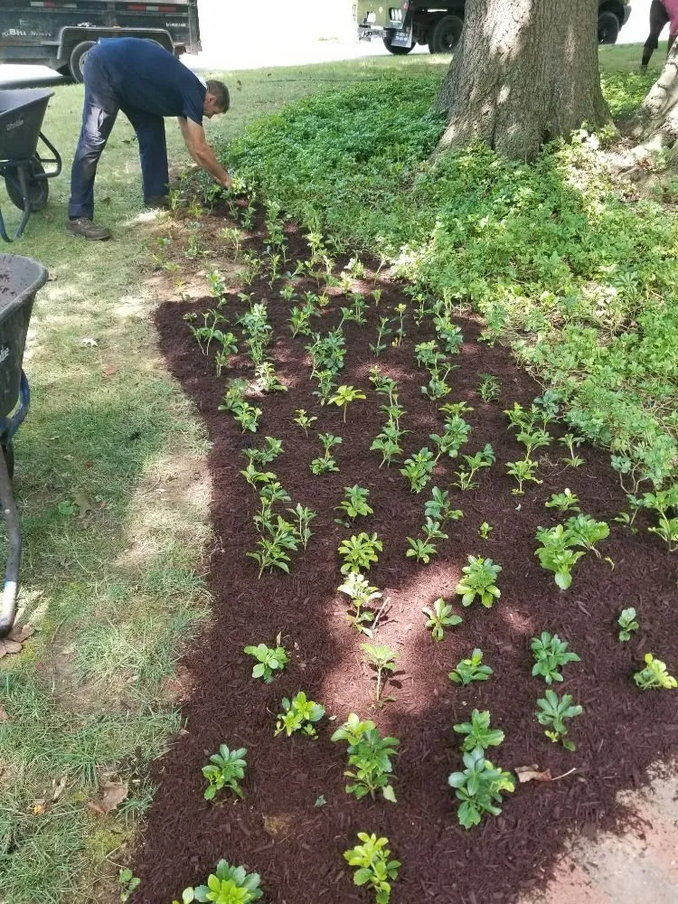 Trusted residential landscaping near you in Crestwood, KY by Louisville Lawn Solutions