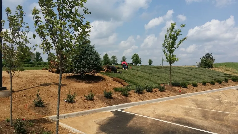 Reliable yard cleanup service with custom design across Crestwood, KY - Louisville Lawn Solutions