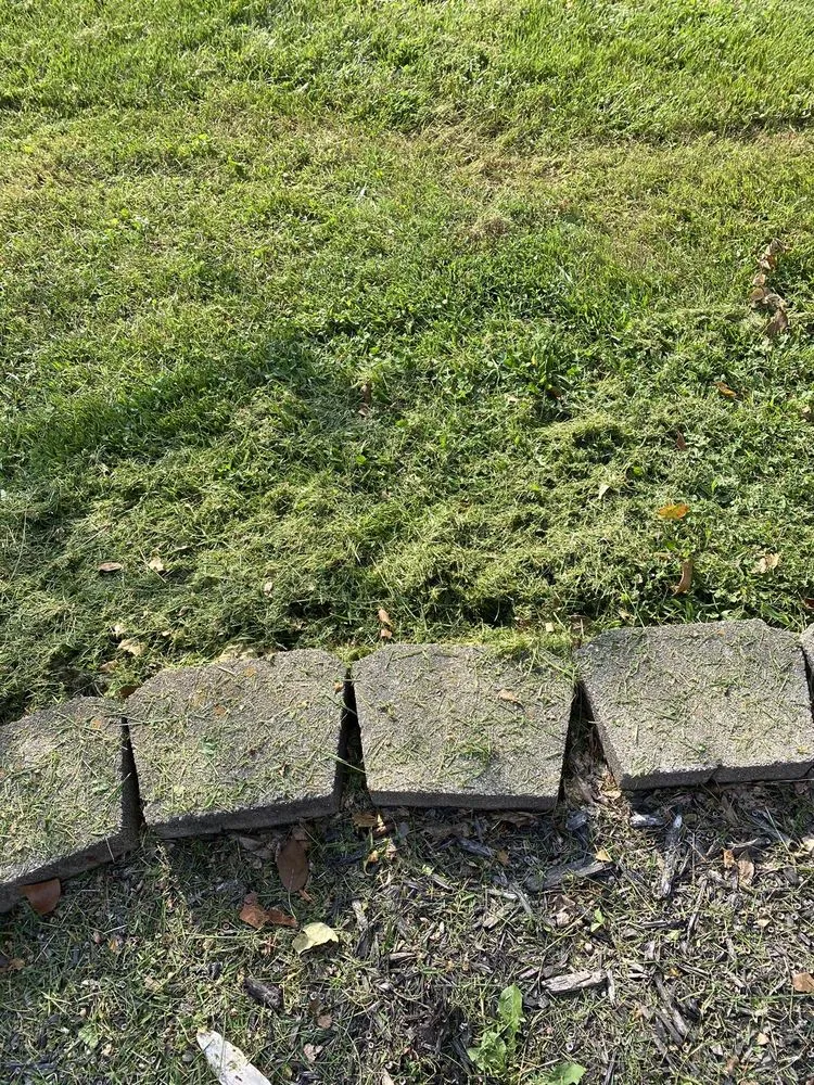 Custom residential landscaping in Louisville, KY - Louisville Tree and Landscape