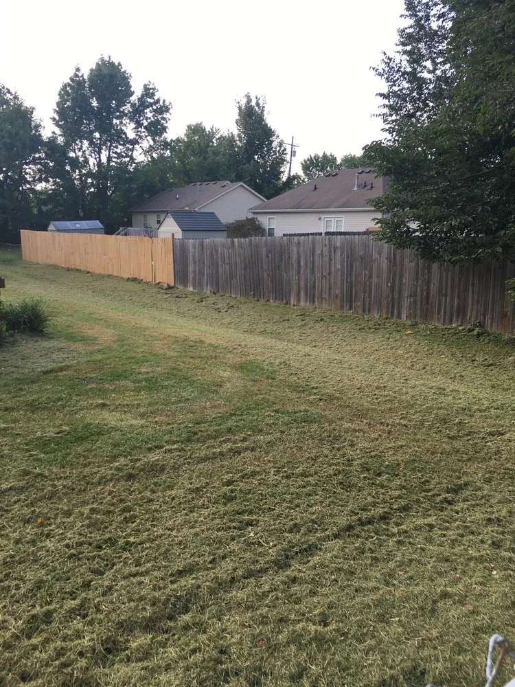 Custom yard cleanup service experts serving Louisville, KY - Louisville Tree and Landscape