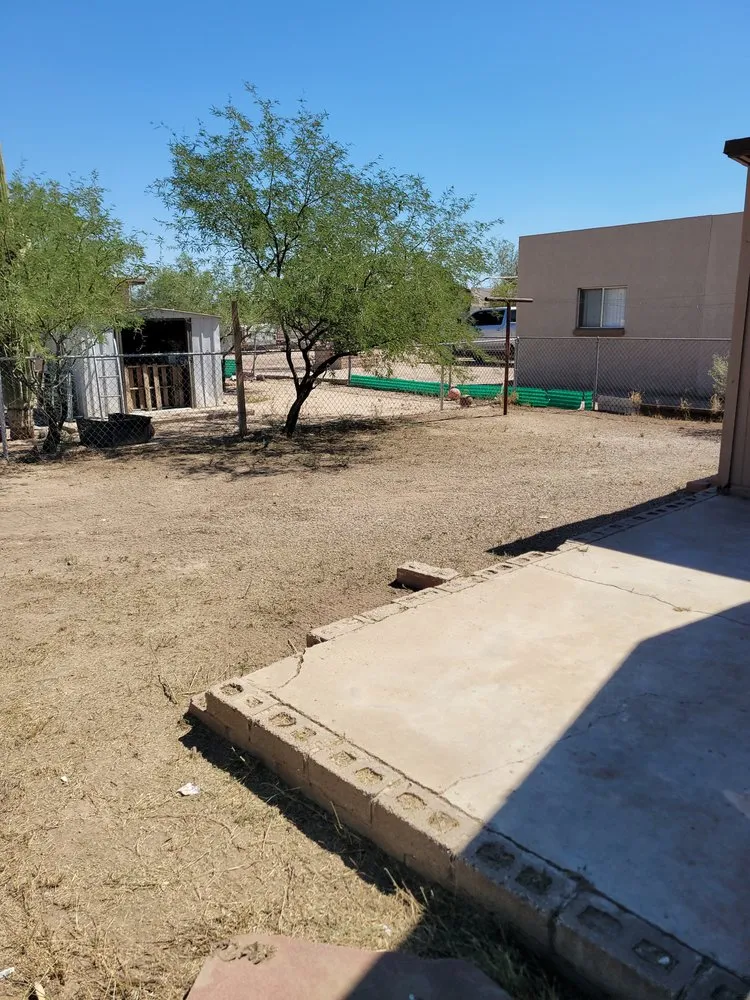 Professional residential landscaping in Tucson, AZ - Lounge Lizard Landscape
