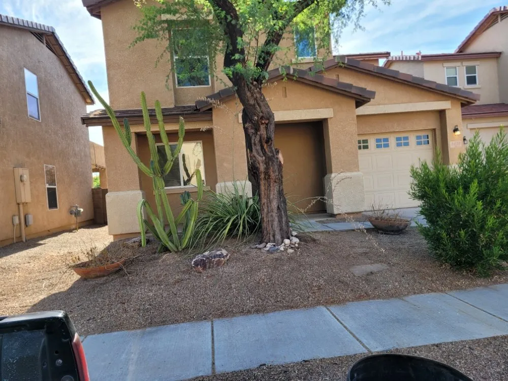 Reliable landscape installation experts serving Tucson, AZ - Lounge Lizard Landscape