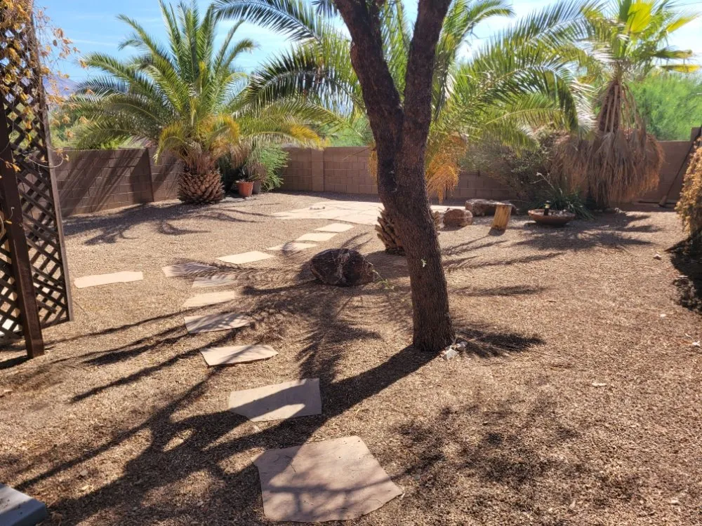 Custom yard maintenance for homes in Tucson, AZ by Lounge Lizard Landscape