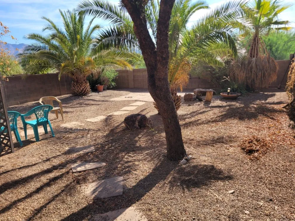 Trusted lawn care service in Tucson, AZ - Lounge Lizard Landscape