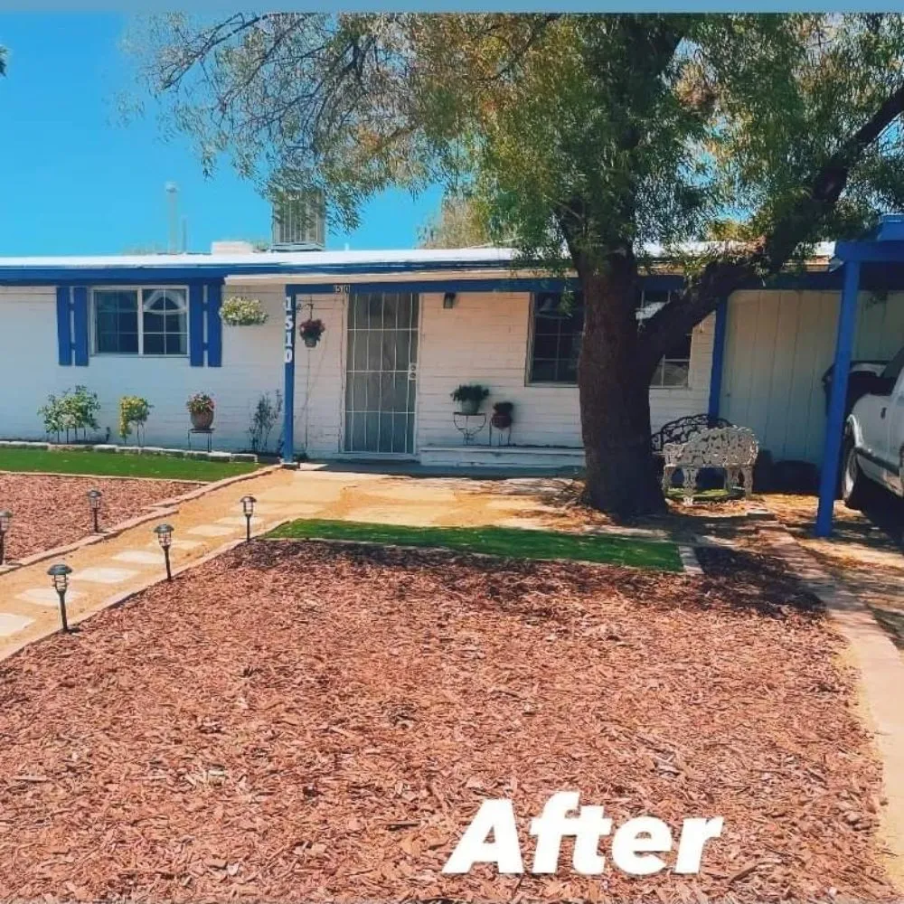 Top-rated landscape installation in Tucson, AZ - Lounge Lizard Landscape