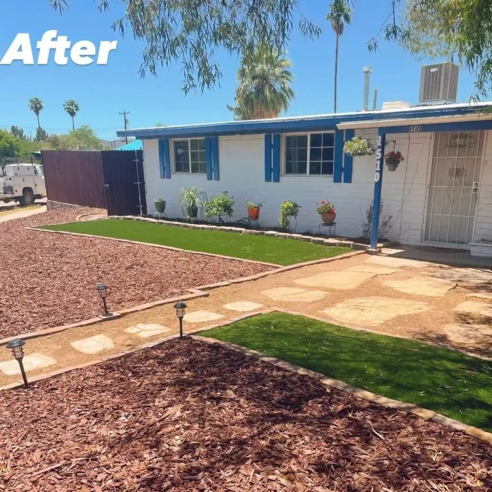 Trusted landscaping services experts serving Tucson, AZ - Lounge Lizard Landscape