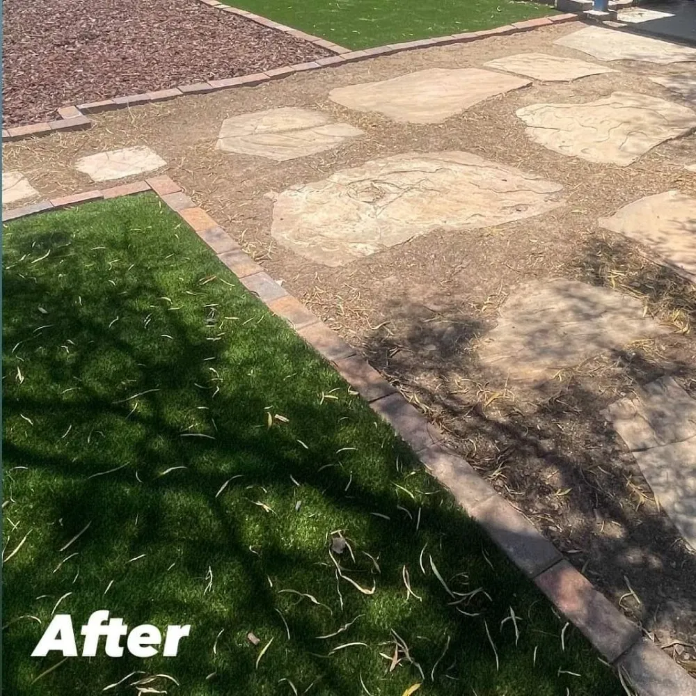 Professional landscaping services in Tucson, AZ - Lounge Lizard Landscape
