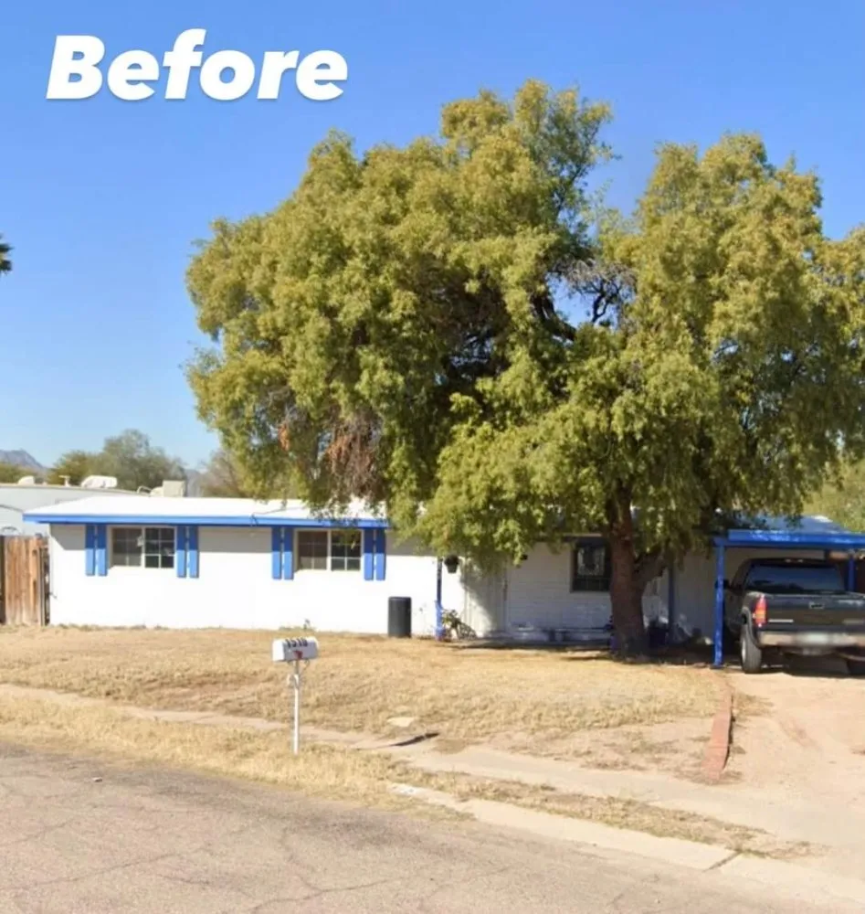 Affordable landscape design experts serving Tucson, AZ - Lounge Lizard Landscape