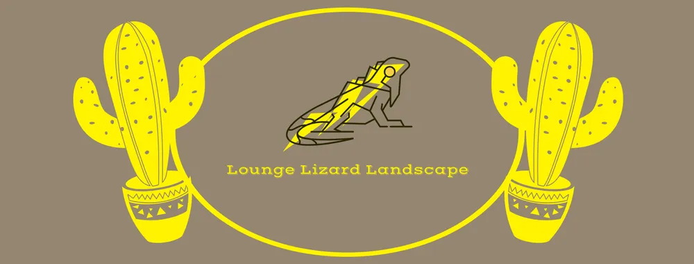Reliable residential landscaping in Tucson, AZ by Lounge Lizard Landscape
