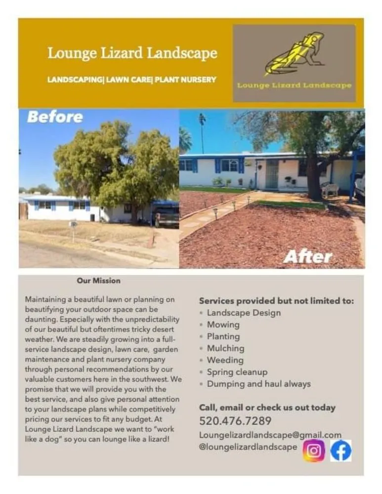 Expert landscaping services for beautiful yards across Tucson, AZ - Lounge Lizard Landscape