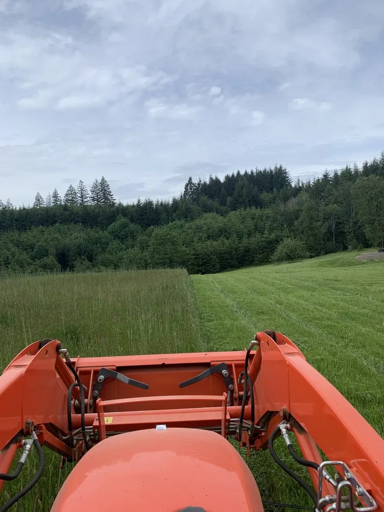 Top-rated residential landscaping in Hillsboro, OR by Louris Contracting