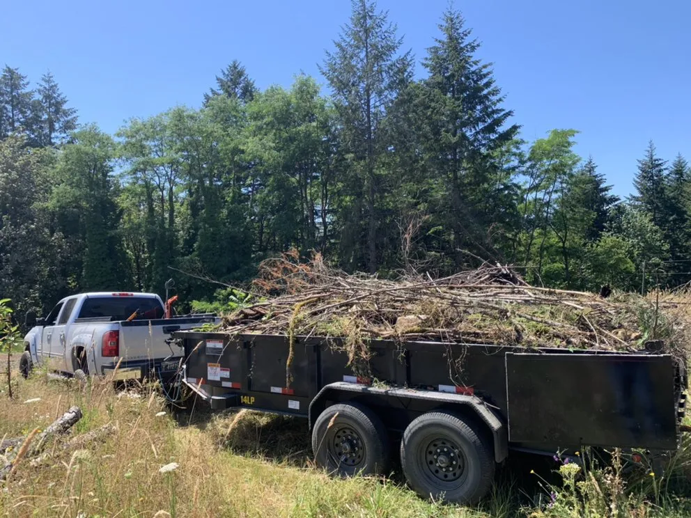 Affordable lawn care service in Hillsboro, OR - Louris Contracting