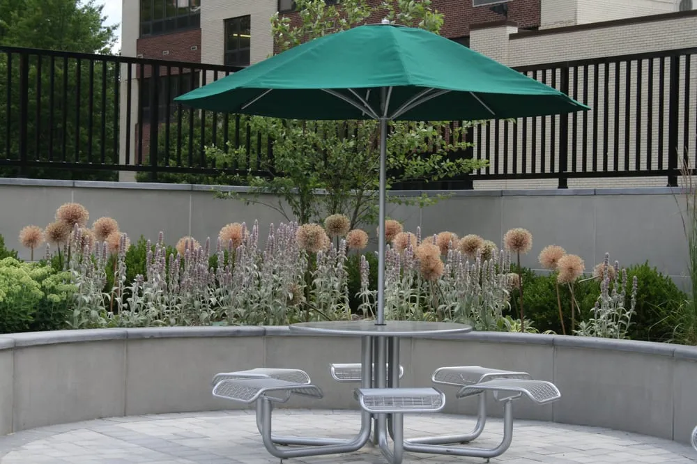 Local yard maintenance for outdoor upgrades across Wayne, NJ - Lou's Landscaping & Design