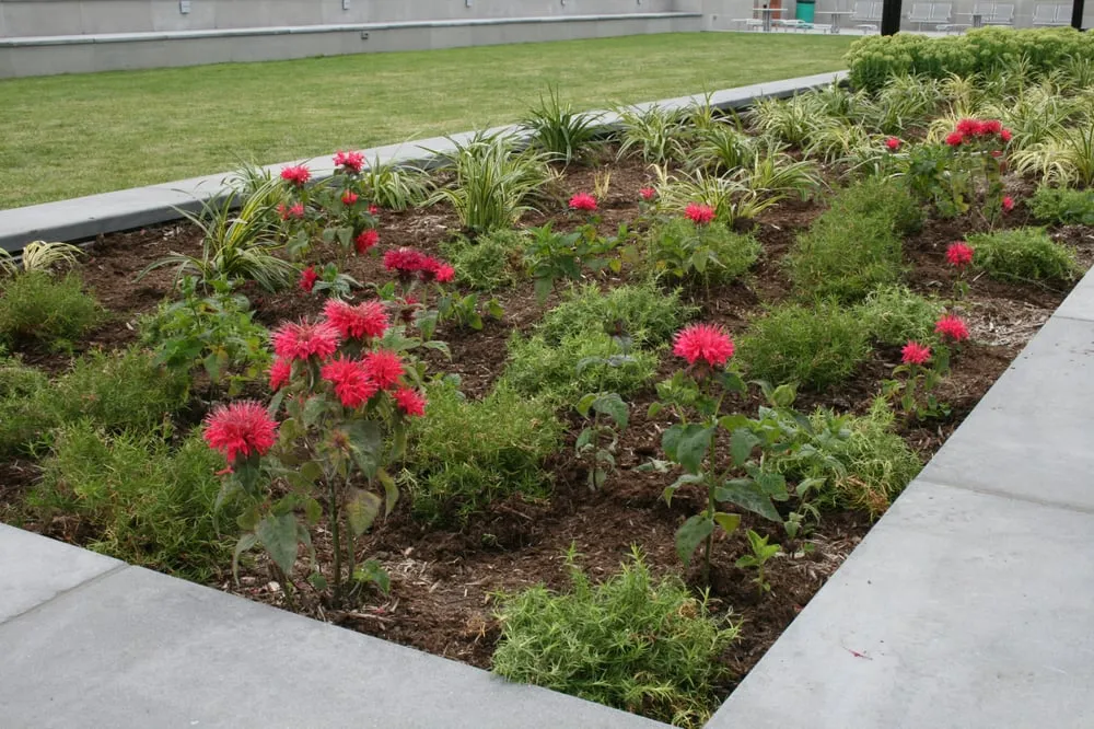 Professional landscaping services experts serving Wayne, NJ - Lou's Landscaping & Design