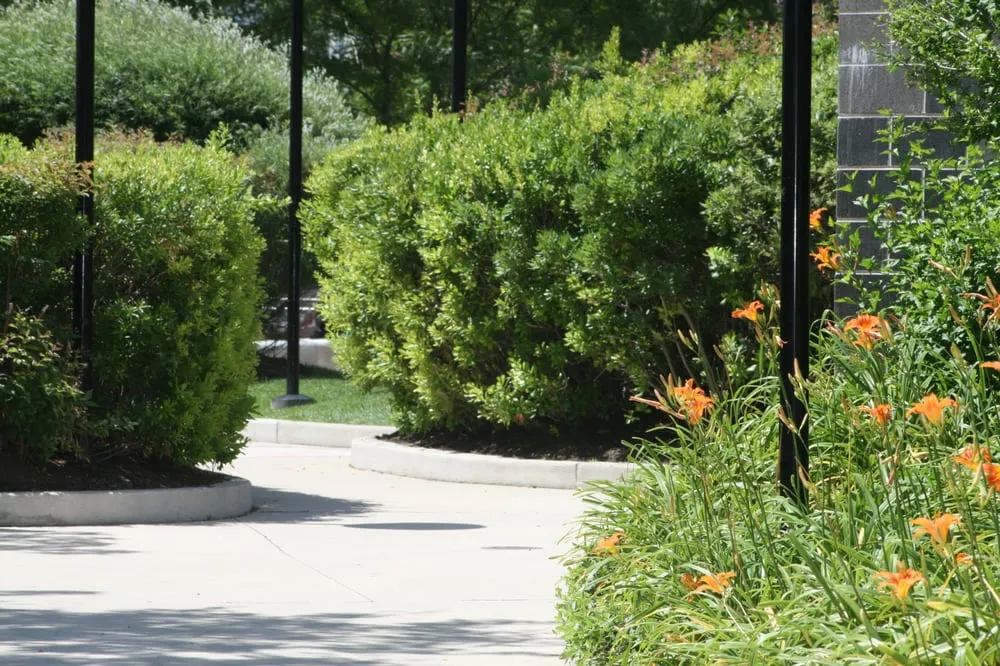 Professional yard cleanup service experts serving Wayne, NJ - Lou's Landscaping & Design