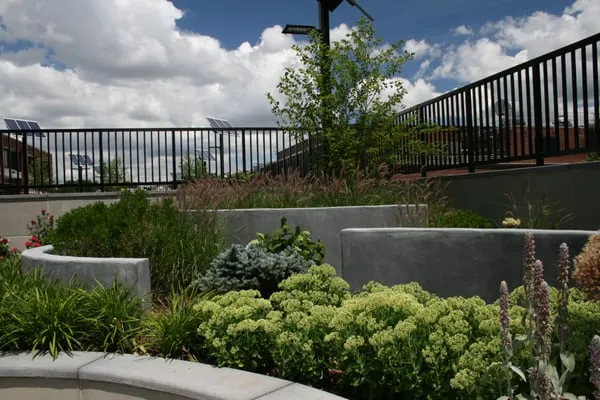 Lou's Landscaping & Design