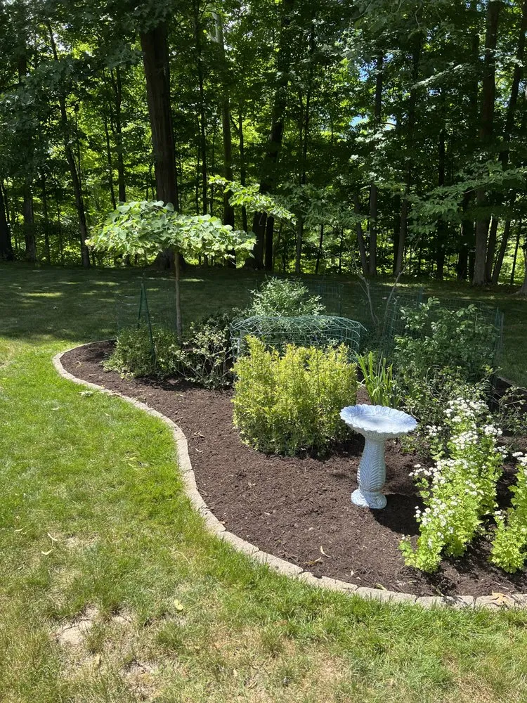 Reliable lawn mowing service in Middleburg Heights, OH by Lou's Landscaping