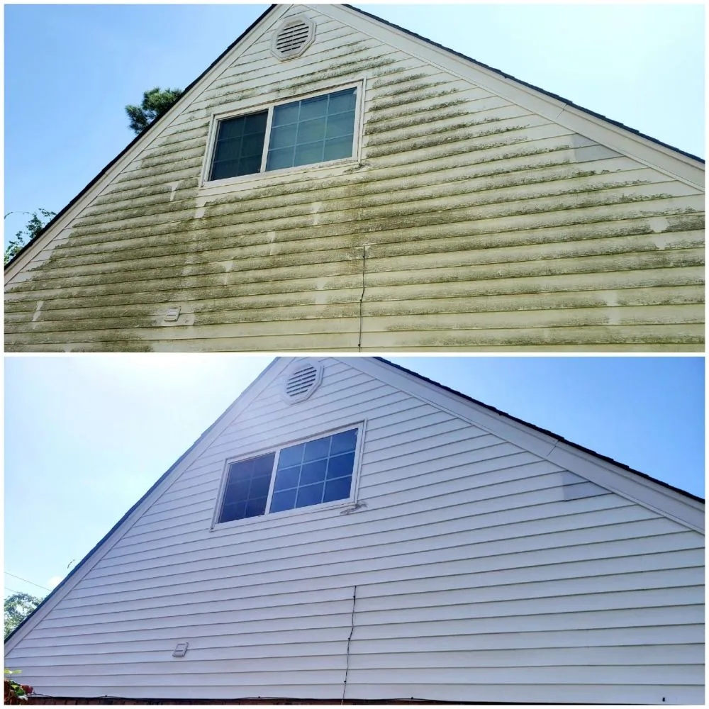 Trusted yard cleanup service for year-round maintenance across New Orleans, LA - lou's Lawn Care & Pressure Washing services