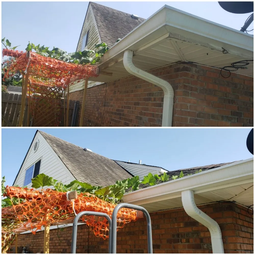 Top-rated landscape design for residential properties across New Orleans, LA - lou's Lawn Care & Pressure Washing services