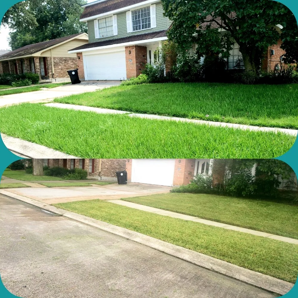 Reliable landscape installation with custom design across New Orleans, LA - lou's Lawn Care & Pressure Washing services