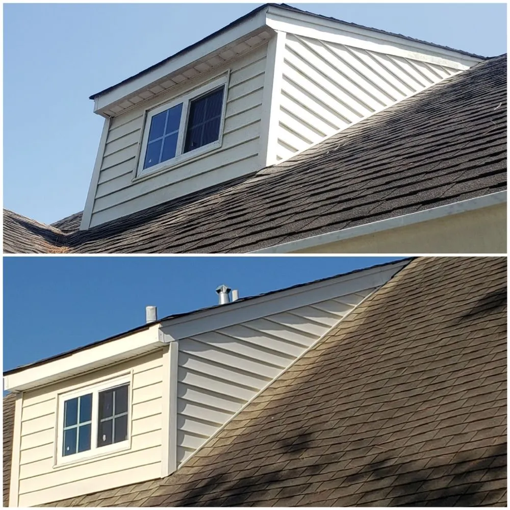 Affordable landscape design in New Orleans, LA - lou's Lawn Care & Pressure Washing services