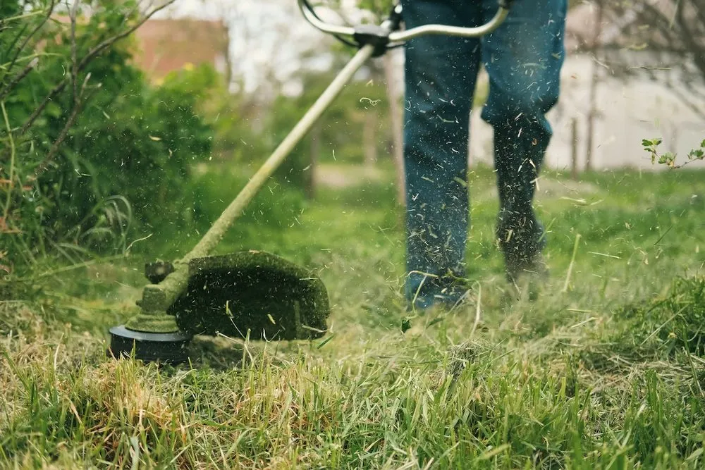 Expert yard maintenance with custom design across Houston, TX - Lous Lawn Care