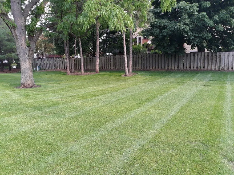 Custom yard maintenance in Lisle, IL by Lou's Lawn Care