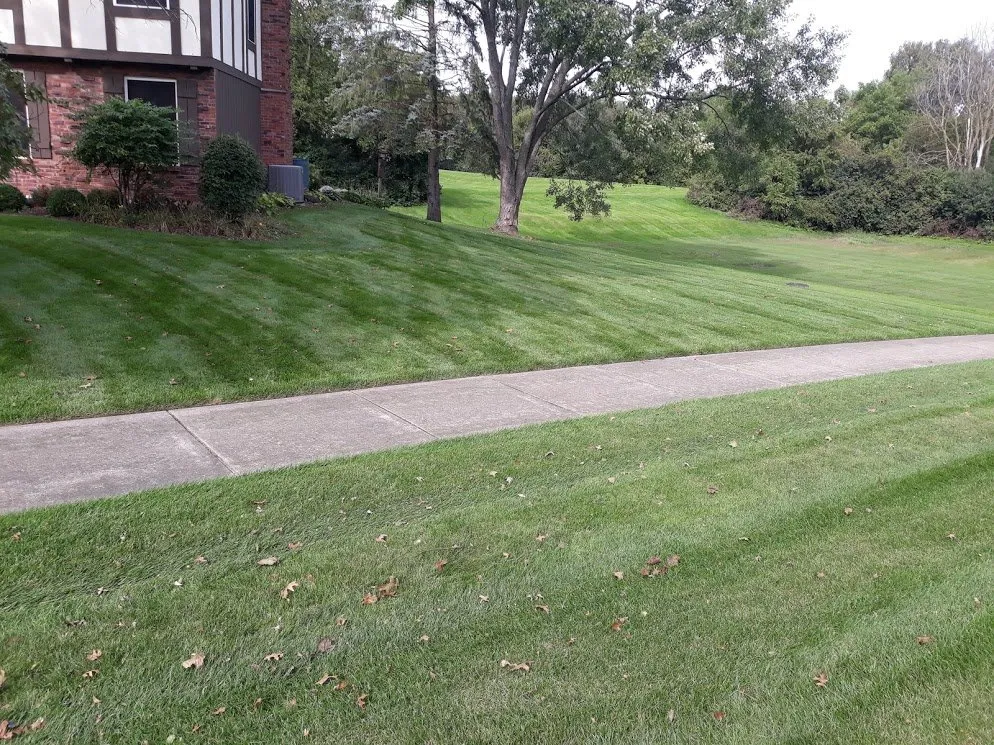 Top-rated landscape installation in Lisle, IL by Lou's Lawn Care