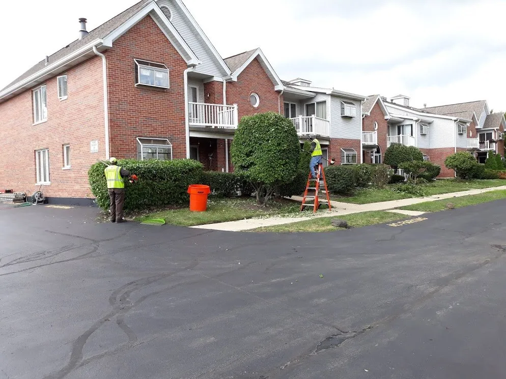 Reliable landscaping services experts serving Lisle, IL - Lou's Lawn Care