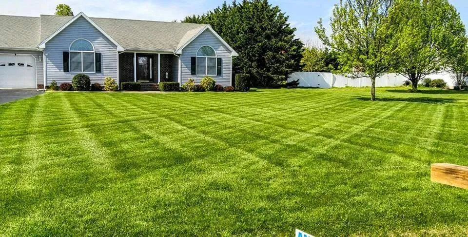 Professional garden landscaping experts serving Lincoln, DE - Lou's Lawn Service