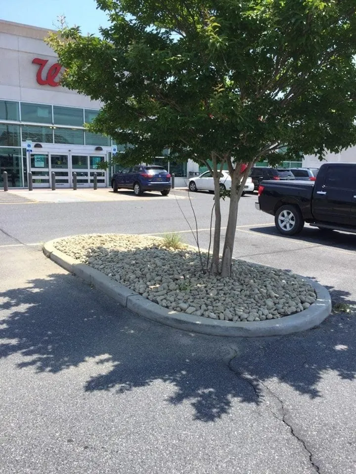 Top-rated landscape design experts serving Lincoln, DE - Lou's Lawn Service