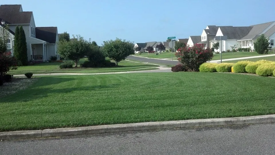 Affordable landscape installation experts serving Lincoln, DE - Lou's Lawn Service